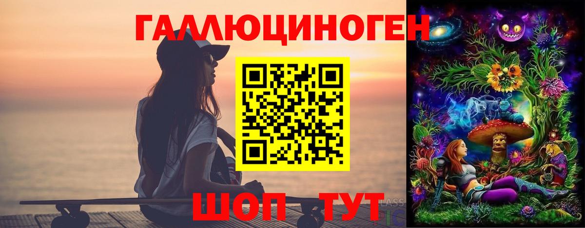 Псилоцибиновые грибы Psilocybe Городец