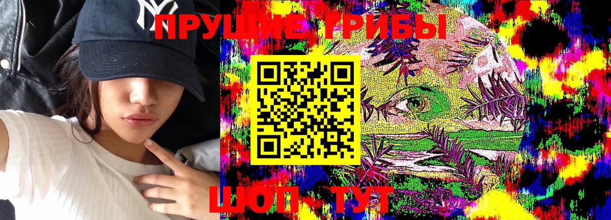 Городец  хочу наркоту  Псилоцибиновые грибы Psilocybine cubensis  Вход с VPN  Псилоцибиновые грибы Psilocybine cubensis 